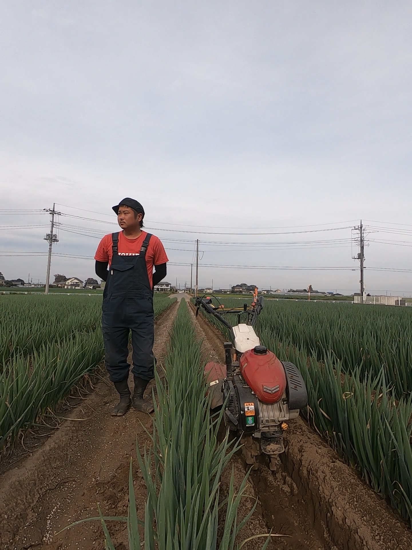 埼玉県深谷市｜葱や けんもち｜剱持哲信さんの生産者プロフィール｜ポケットマルシェ｜産地直送で旬の食材が生産者(農家・漁師)から届く