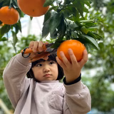 梅村 守 | eityuukan~永忠柑~