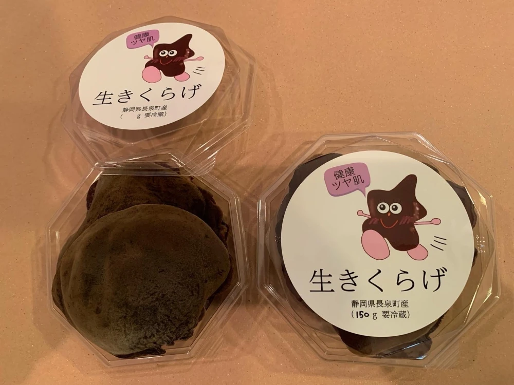 肉厚プリプリの生きくらげ