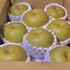 【贈答用】長野県産 幸水梨 3kg（6〜9玉）