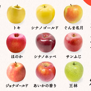目指せ！旬の9品種を制覇「りんごのコンプリート定期便」