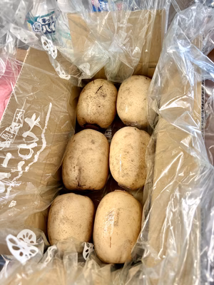 みんなの投稿の画像