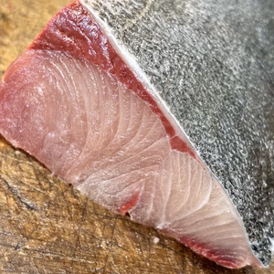 冷凍！徳島宍喰産　【訳あり】脂ノリノリ天然鰤(ブリ)サイコロ！