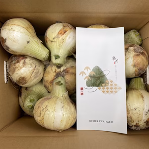 淡路島産玉ねぎ 新玉