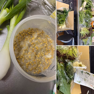 みんなの投稿の画像