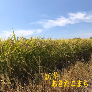 令和2年の新米　あきたこまち