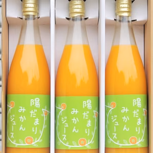 【ギフト包装】 三ヶ日みかんジュース ストレート100％　720ml×３本
