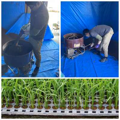 みんなの投稿の画像