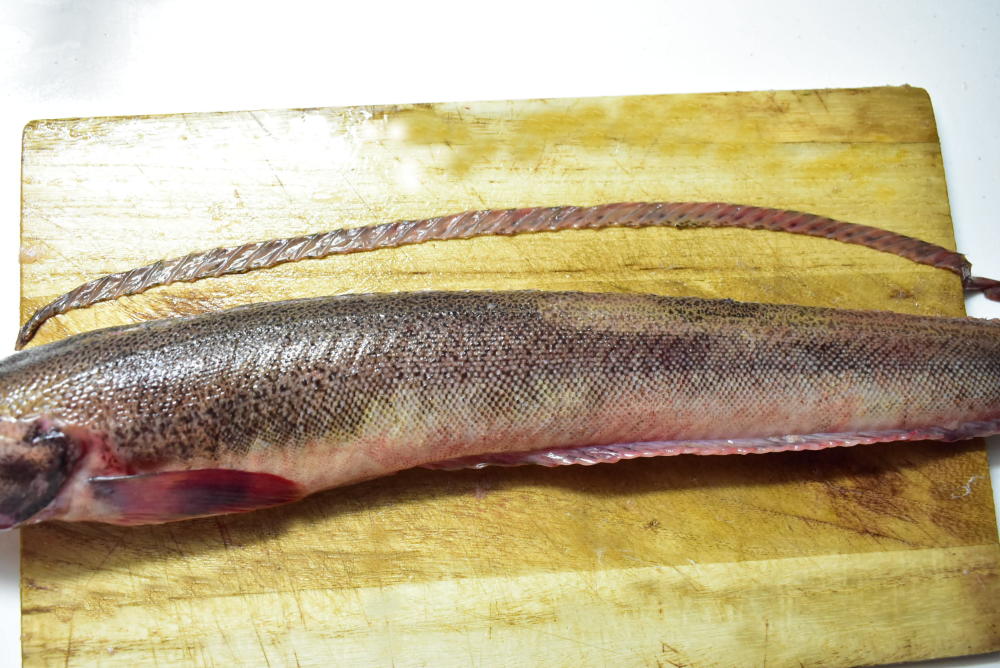 謎の魚 ナガヅカ の食べ方考案チャレンジ 美味メニューベスト3はこれだ 農家漁師から産地直送の通販 ポケットマルシェ