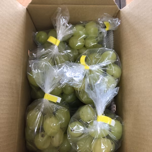 シャインマスカット、マイハート(粒)