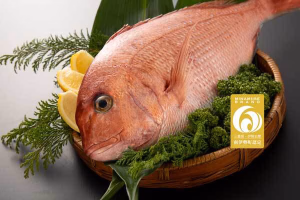 【半端ない脂乗り！】何度もリピートされている大満足の肉厚たっぷり絶品真鯛！