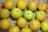 【減農薬栽培】ブスなバレンシアオレンジ 1.5kg送料全国520円