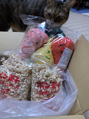 みんなの投稿の画像