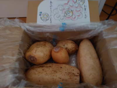 みんなの投稿の画像