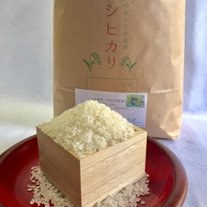 無農薬無施肥、天日干しコシヒカリ「小太郎米」白米