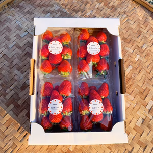 【高級品種食べ比べ】糖蜜使用のこだわり苺！ひのしずくと紅ほっぺ【4パック】R