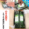【残り43名】10％OFF(約2㎏)化学肥料なし！パリッ甘きゅうり「マジキュー」