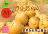 【北海道産きたあかり】30年以上作り続けるじゃがいも農家【ゆめいも】