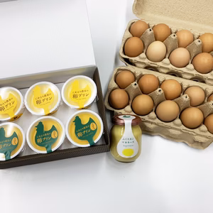 【福地鶏】テトテヲ超買得パック(卵20個、プリン2種✕3個、おまけにマヨ)