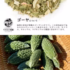 ゴーヤ茶 10袋〜30袋【まとめてお得】