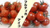 ＊フルティカ・ティポ・アイコ＊糖度9度越えのおいしいフルーツとまと＊通常配送商品