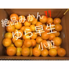 ゆら早生 みかん 小粒
