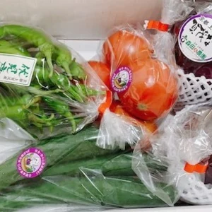 旬の野菜セット(5〜7種類)