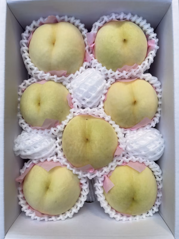 岡山県産　白皇【家庭用】6〜7玉入り