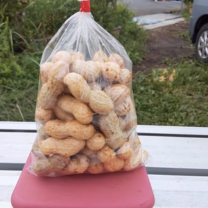 やめれない旨さ‼なま落花生(塩ゆで用)600ｇ