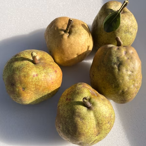 無農薬ラフランス　家庭用