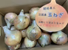 訳ありかも‼️淡路島玉ねぎ！
