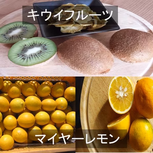 キウイフルーツとマイヤーレモン詰め合わせ　全て農薬不使用