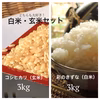 「彩のきずな」白米&「コシヒカリ」玄米セット