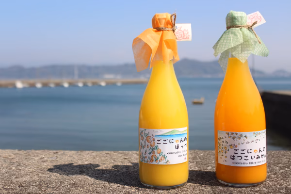 ごごしまみかん&いよかんジュース 選べる3本セット