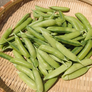 うすいえんどうと絹さやのセット