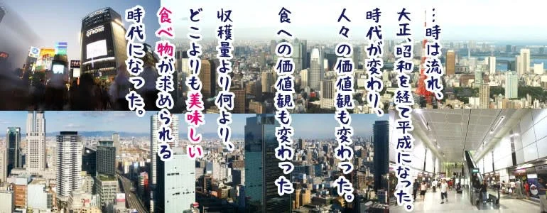 きねつき〆張りもち10切入45０ｇ　交換保証付