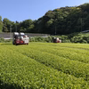 《送料込み・メール便》いつものお茶