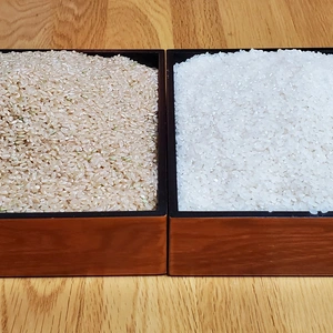 山形産　新米『はえぬき』　玄米+白米詰め合わせ　20kg