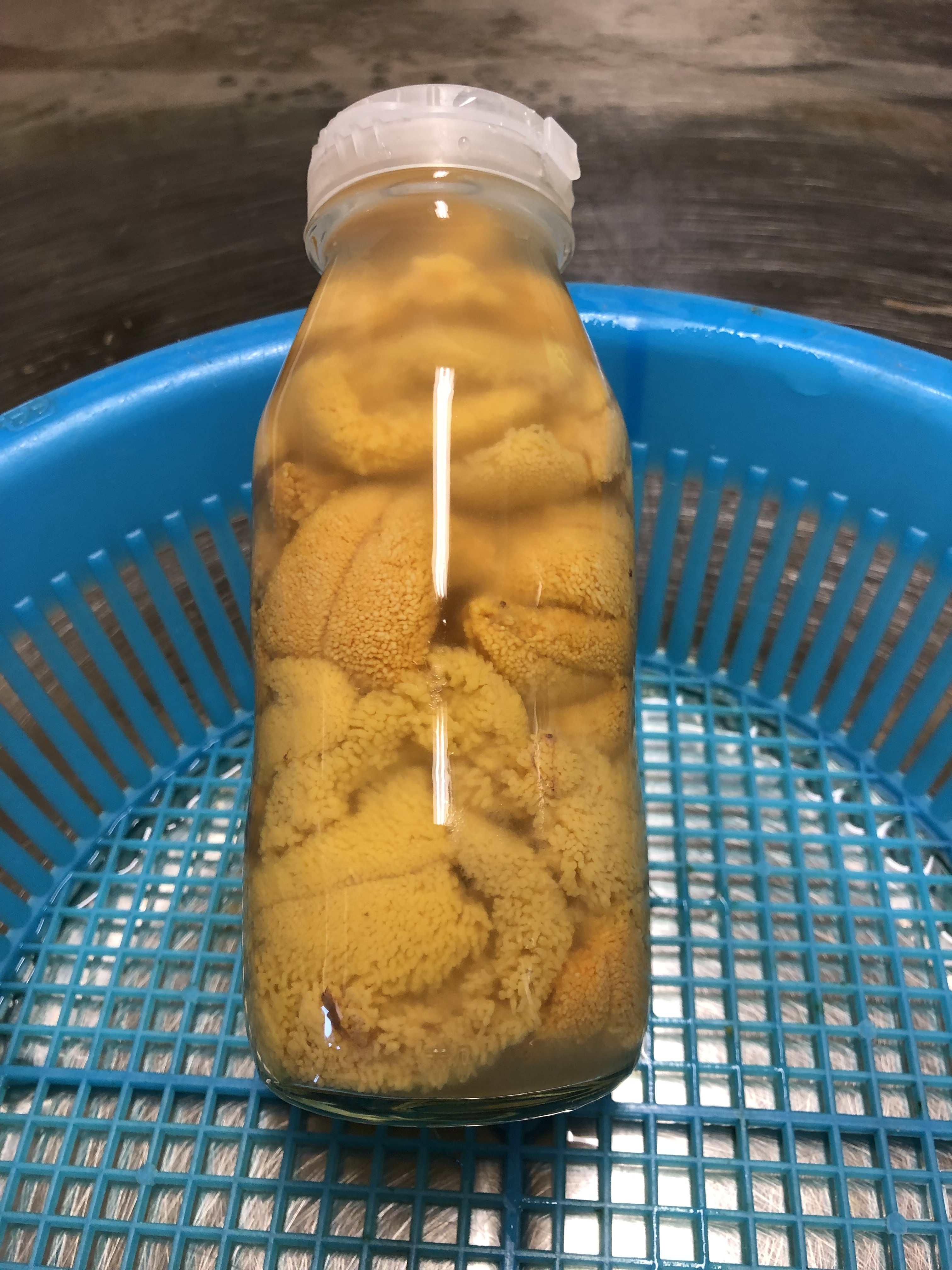 北三陸たのはた産 無添加瓶入り生うに 1本150g