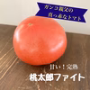 甘い！完熟大玉トマト！桃太郎ファイト　