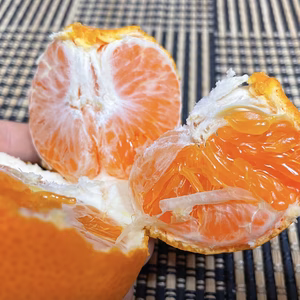 【爽やかな香りに濃厚な味】 津の輝(つのかがやき) 1.5kg〜