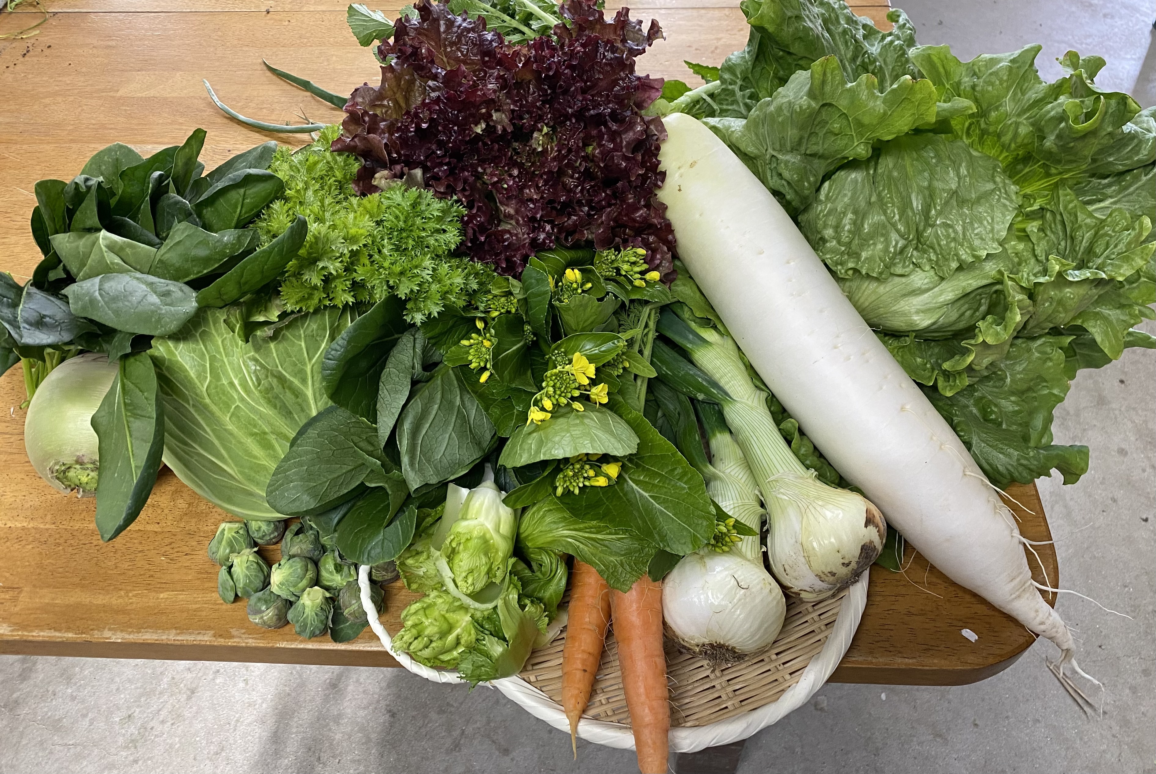 淡路島からお届け】淡路島ほっこりファームの旬のお任せ野菜セット(S