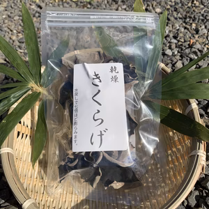 京都産乾燥キクラゲ
