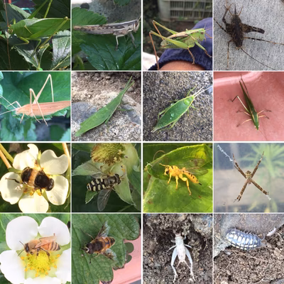 みんなの投稿の画像