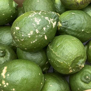 国産レモンB品,璃の香(りのか)県指定特別栽培