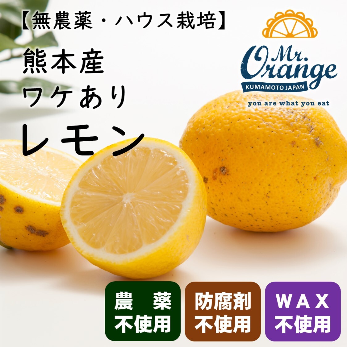 栽培期間中農薬不使用・ワケあり品】ハウス栽培レモン 味も香りも