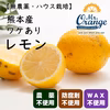 【栽培期間中農薬不使用・ワケあり品】ハウス栽培レモン　味も香りもバツグン