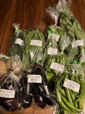 みんなの投稿の画像