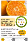 特別栽培低農薬みかん10kg【2024福袋】