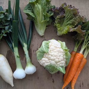 常温便【3月のぐるっと収穫】渥美半島から旬と彩りの野菜セット